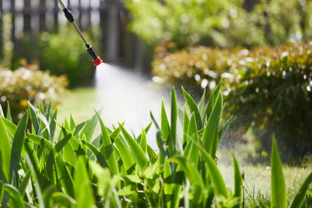 Tamper-Resistant Bait Stations for Rodents in Gueydan