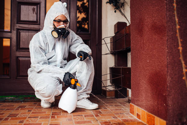 Attic and Crawl Space Rodent Treatment in Gueydan