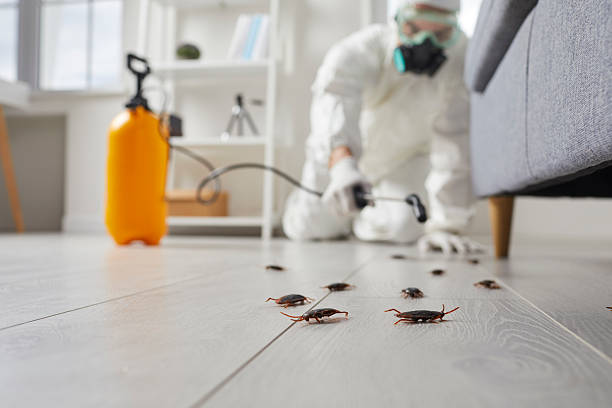 Commercial Rodent Management in Gueydan